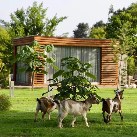Butiq Garden Holiday home *