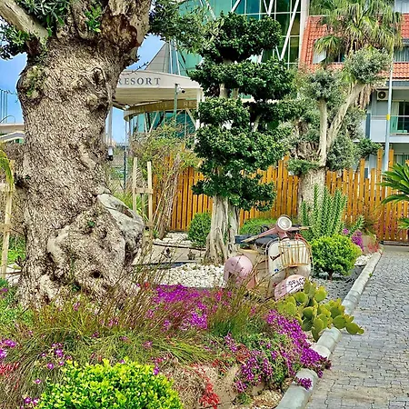 Butiq Garden Hotel *
