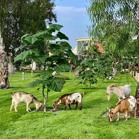 Hotel Butiq Garden Kemer