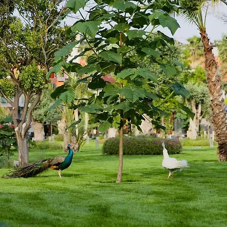 Butiq Garden Hotel *